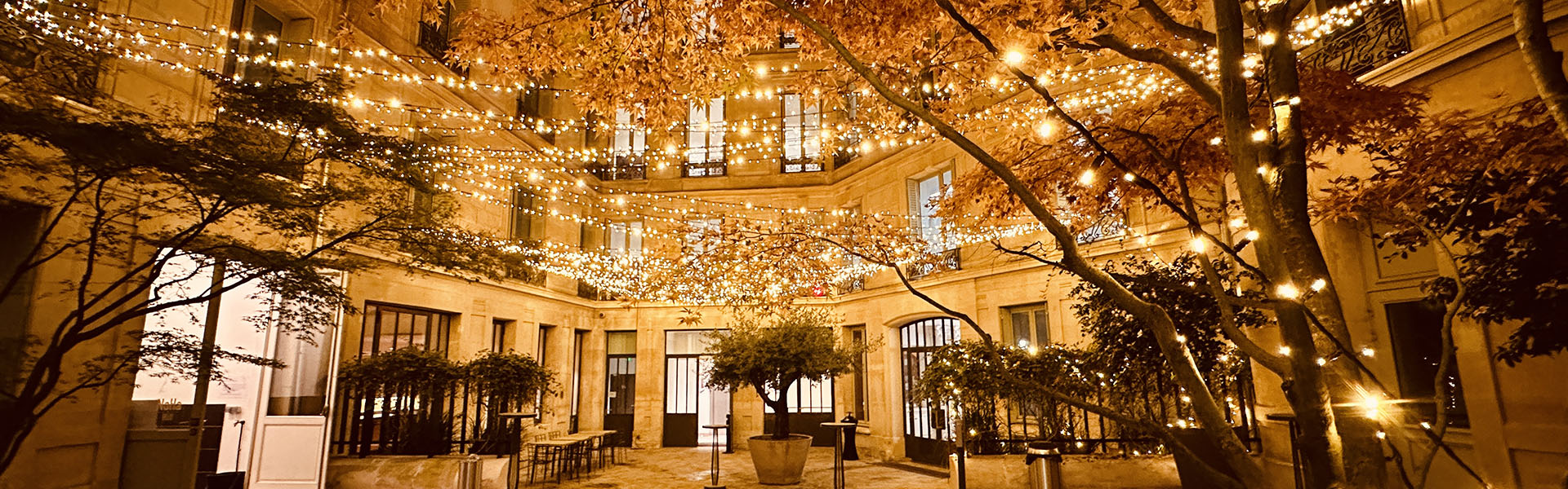 Ciel étoilé guirlande lumineuse